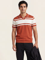 Striped Knit Polo
